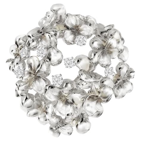 18 Karat White Gold Contemporary Men Juniper Brooch with Diamonds For ...