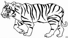 malvorlagen kostenlos tiger tiger ausmalbilder 07 drachen zum ausmalen ausmalen malvorlagen kostenlos tiger tiger ausmalbilder 07 drachen zum ausmalen ausmalen
