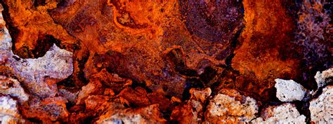 Mining Exploration 的图像结果