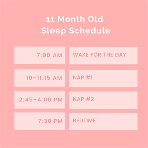 11 Month Old Sleep Schedule - The Postpartum Party