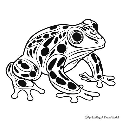 Poison Dart Frog Coloring Pages - Free & Printable!