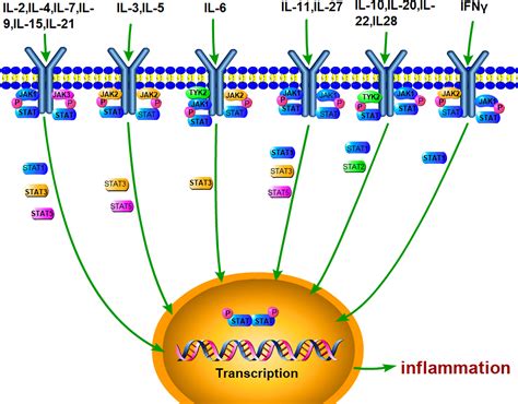 STAT | A decade of reporting from the frontiers of health and medicine