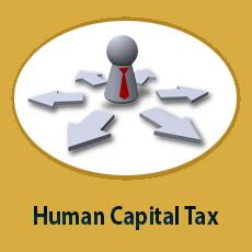 International assignment management tax planning & consultancy