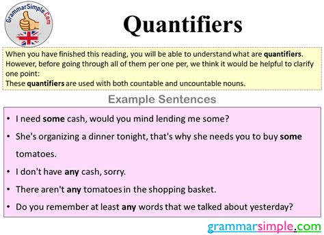 Image result for Quantifier Examples
