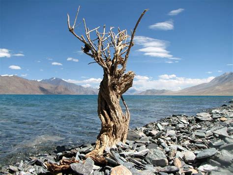 Pangong Lake Photographs, Map & How to Reach Guide