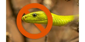 Sharpex Snake Gaiters, Durable Snake Leg Guards for Men & Women ...