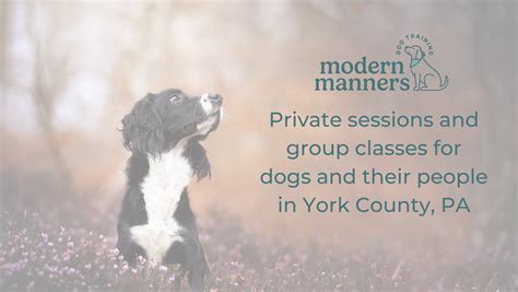 Modern Manners 的图像结果