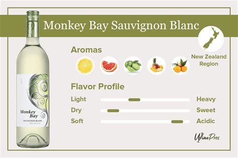10 Best Sauvignon Blanc Wines From California (2022)