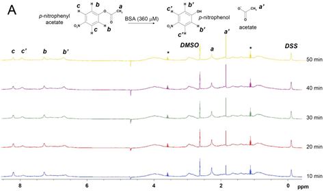 Esterase Activity of Serum Albumin Studied by 1H NMR Spectroscopy and ...