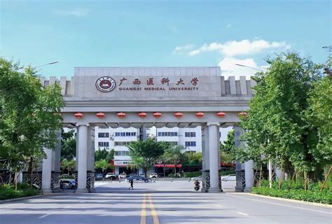 广西十大名校：广西科技大学上榜，第十以中医药学科为主_排行榜123网