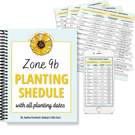 Zone 9 Vegetable Planting Schedule – Audrey's Little Farm Shop
