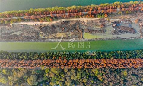 长江荆江段进入高水位期 继续上涨幅度已不大-新闻中心-荆州新闻网