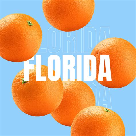 If You're a Fan of Florida Oranges, Read This | Vitesse Transport
