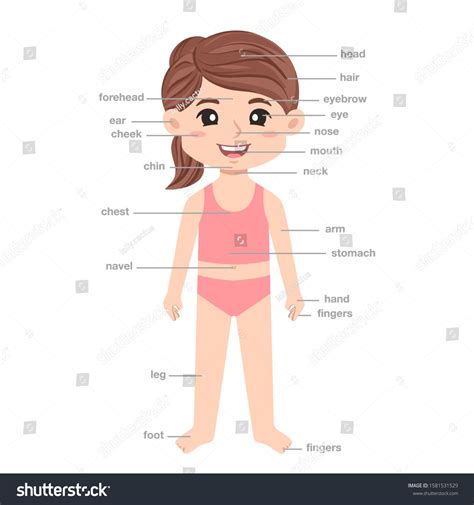 Kids Body Parts Infographic: Teaching Anatomy Vocabulary