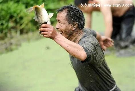 梦见鱼5种征兆要发财，梦见抓住鱼(预示你会取得成功) — 久久经验网