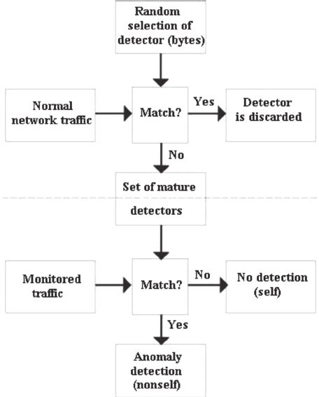 Image result for Negative Selection