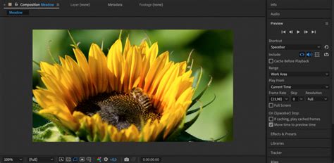 Image result for Convert After Effect File into JSON