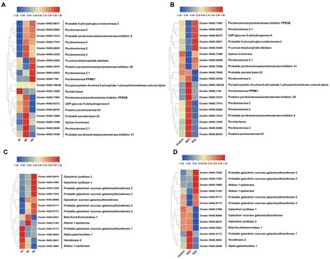 Histological, Transcriptomic, and Functional Analyses Reveal the Role ...
