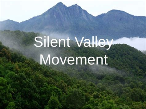 WHAT IS SAVE SILENT VALLEY MOVEMENT?