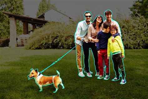 Image result for Using Magic Select in Paint 3D