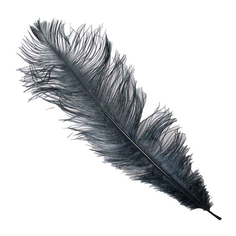 Perfect Hatch Ostrich Fly Tying Feathers | Sportsman's Warehouse