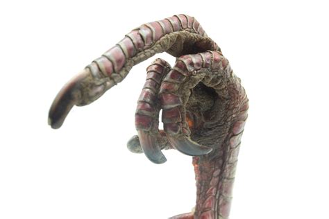 Turkey Foot Giving the Finger at 1stDibs | turkey finger, turkey giving ...