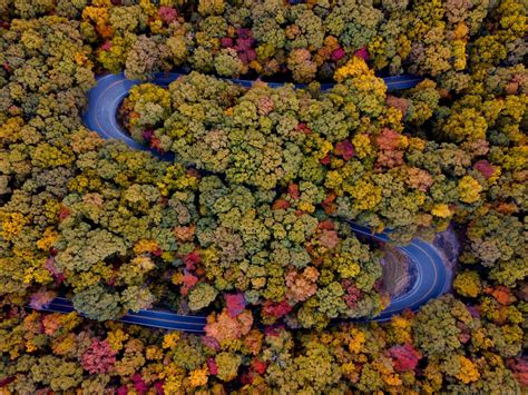 Ozark National Forest (Pig Trail Scenic Byway) - Leisure Travel Vans