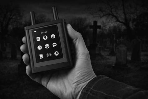 Complete Guide to Montana Bigfoot Sightings (1971–2025)