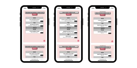 Flexibility Program 的图像结果