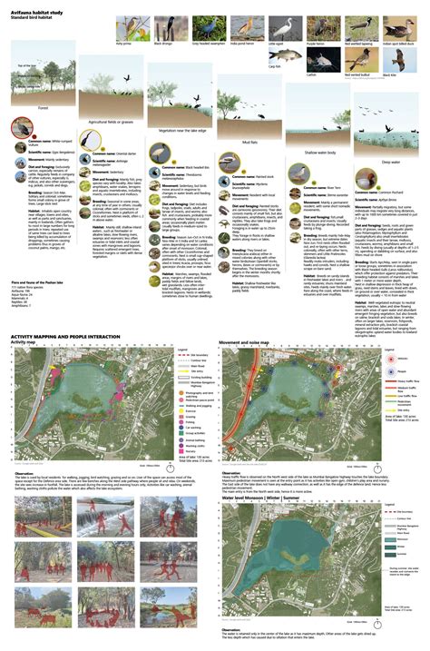Reinstating Lake Ecosystem | CEPT - Portfolio
