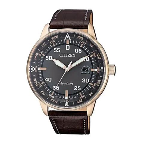 Citizen BM7393-16H Men Watch – The Watch Factory