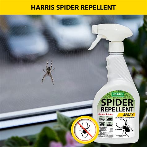 Spider Killer Spray