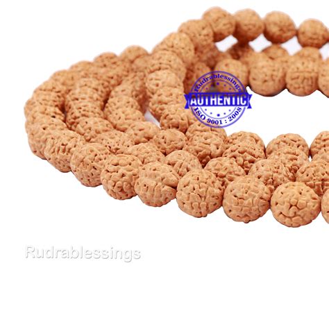 5 Mukhi Rudraksha Laghu Coconut Shape Mala – Rudra and Sons