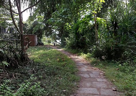 PRISTINE BEACH RESORTS (Diglipur, Andaman and Nicobar Islands) - Hotel ...