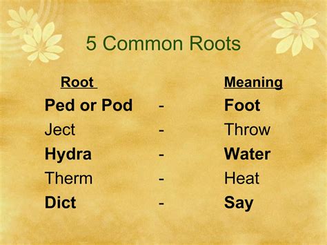 Root words ppt | PPT