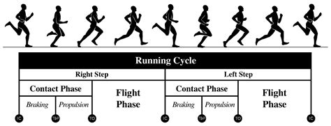 Phases Of Running
