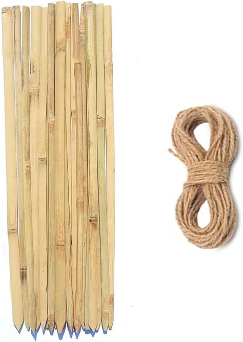Bamboo Sticks for Plants Support 3 feet (20 Sticks) : Amazon.in: Garden ...