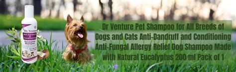 Buy Dr Venture Pet Shampoo for All Breeds of Dogs and Cats Anti ...
