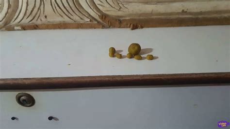 How to Make a Exploding Ball Bomb 的图像结果