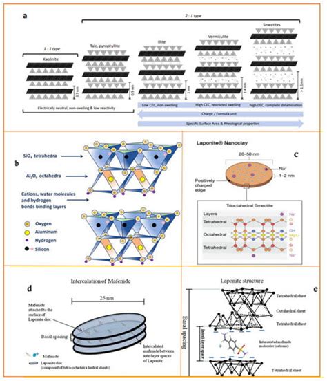 Nanoparticles in Bone Regeneration: A Narrative Review of Current ...