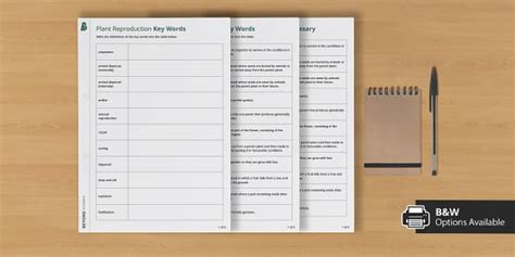 KS3 Plant Reproduction Key Words Activity Pack - Twinkl