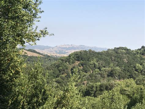 Huckleberry Botanic Regional Preserve View : r/bayarea