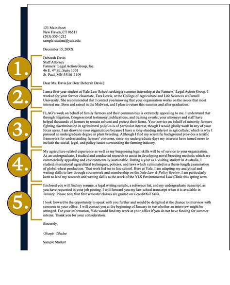 How To Write A To Whom It May Concern Letter: A Step-by-Step Guide - Plandaction.io