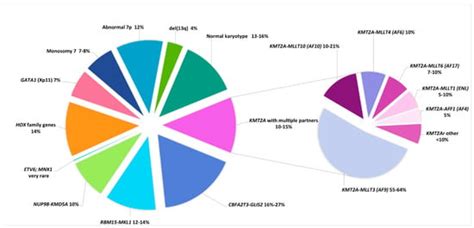 Cytogenetics of Pediatric Acute Myeloid Leukemia: A Review of the ...