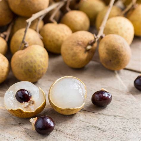 Longan Fruit / Dragon's Eye -Dimocarpus longan | Rare Plant Seeds ...