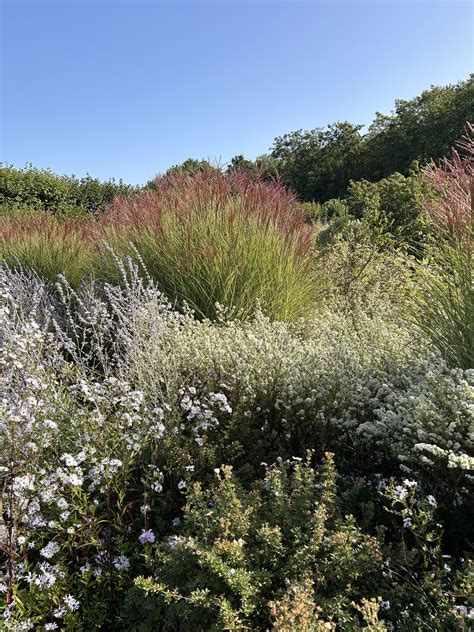 Gardens of France: Villandry - Dyck Arboretum