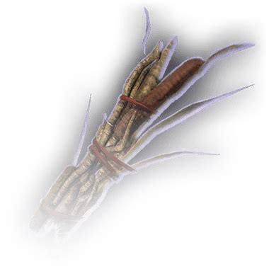 Daggerroot Bundle - bg3.wiki