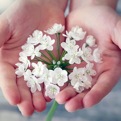 Obituaries In Aurora - Illinois