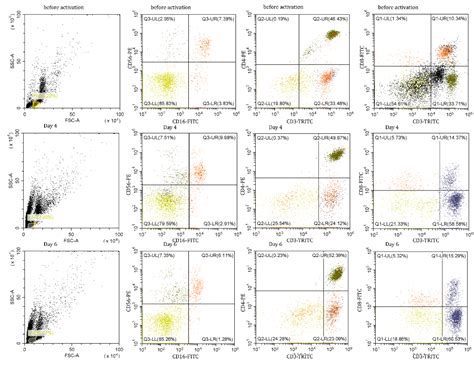 N-Terminal Peptide of PGLYRP1/Tag7 Is a Novel Ligand for TREM-1 Receptor