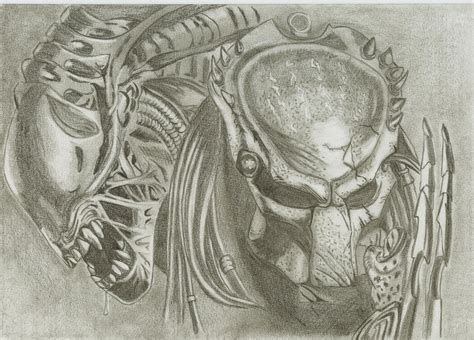 Image result for Alien Predator Hybrid Drawings